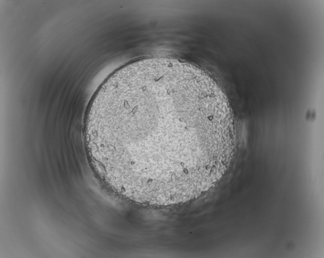 X0000111850147200909031735