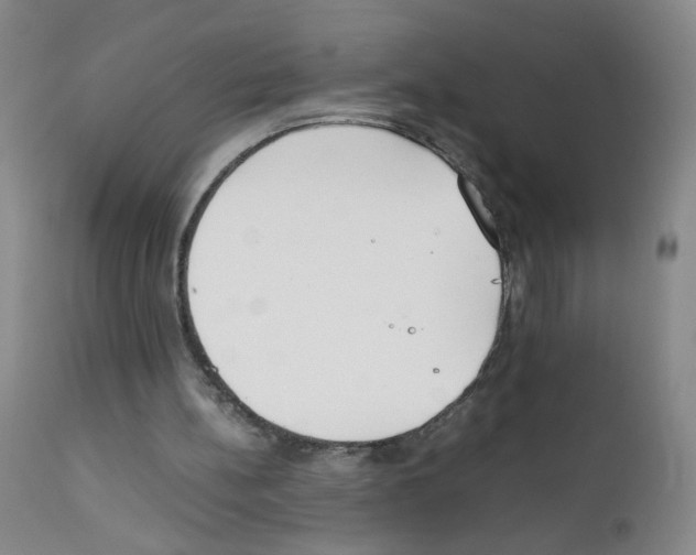 X0000111850148200909031735