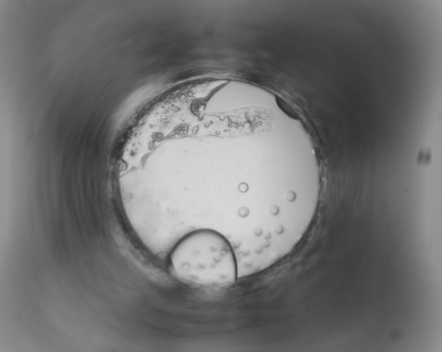 X0000111850149200909031735