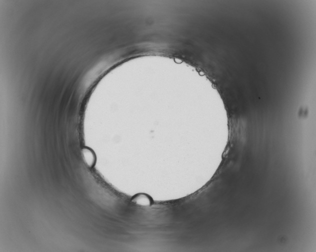 X0000111850150200909031735