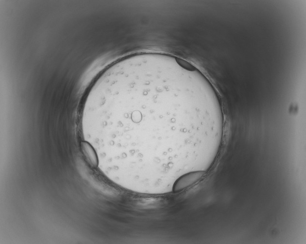 X0000111850151200909031735