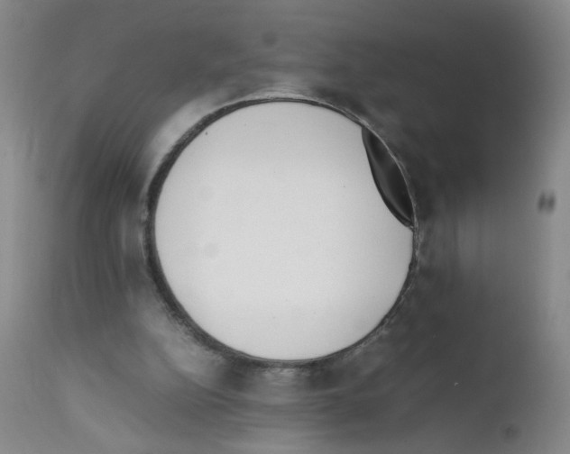 X0000111850152200909031735