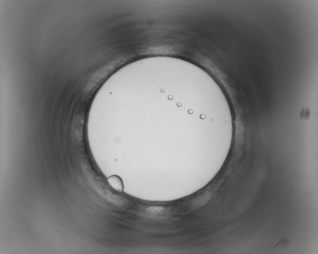 X0000111850153200909031735