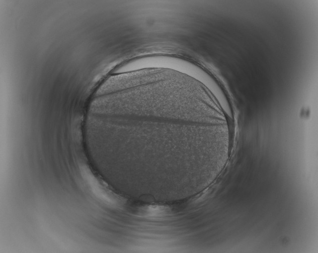 X0000111850154200909031735
