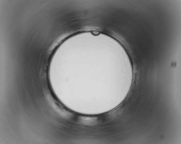 X0000111850155200909031735