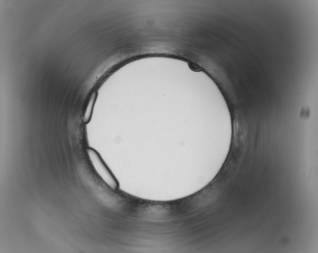 X0000111850156200909031735