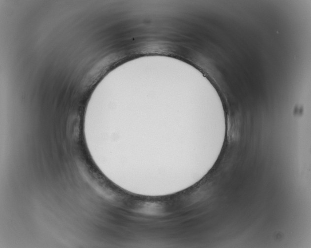 X0000111850157200909031736