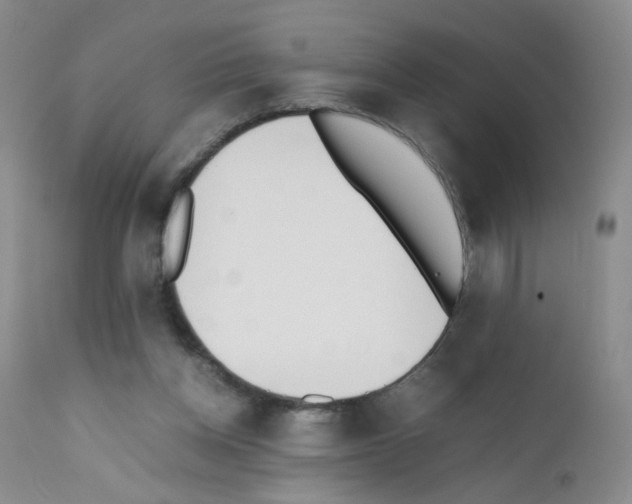 X0000111850158200909031736