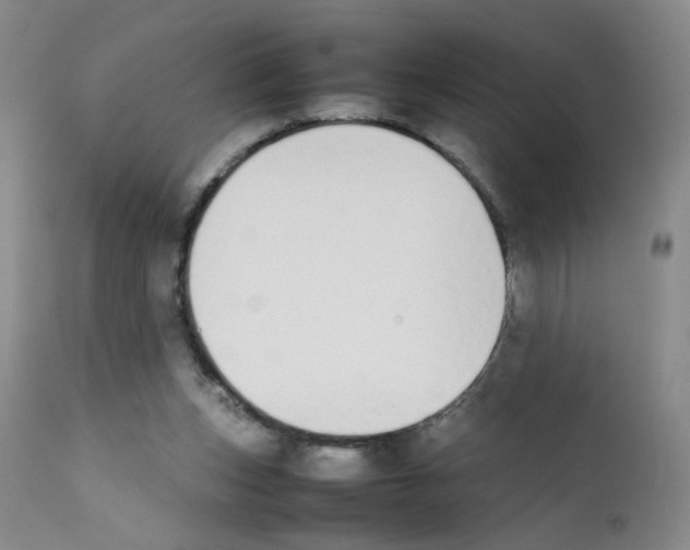 X0000111850159200909031736