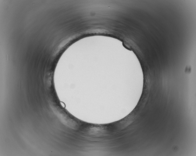 X0000111850160200909031736