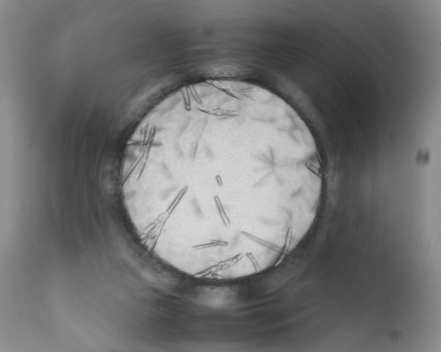 X0000111850161200909031736