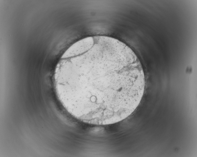 X0000111850162200909031736