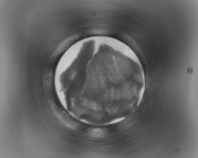 X0000111850163200909031736