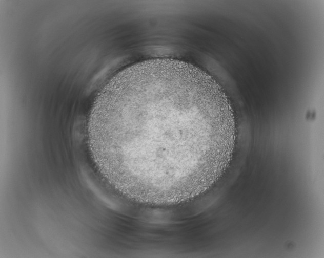 X0000111850165200909031736