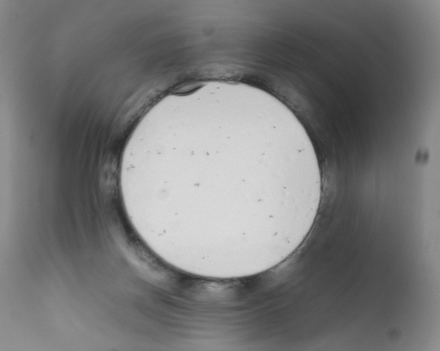 X0000111850166200909031736