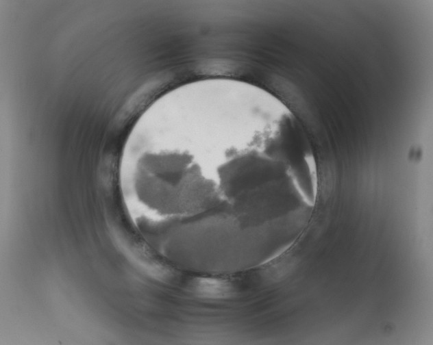 X0000111850167200909031736