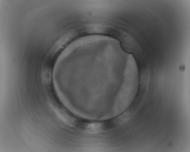 X0000111850168200909031736