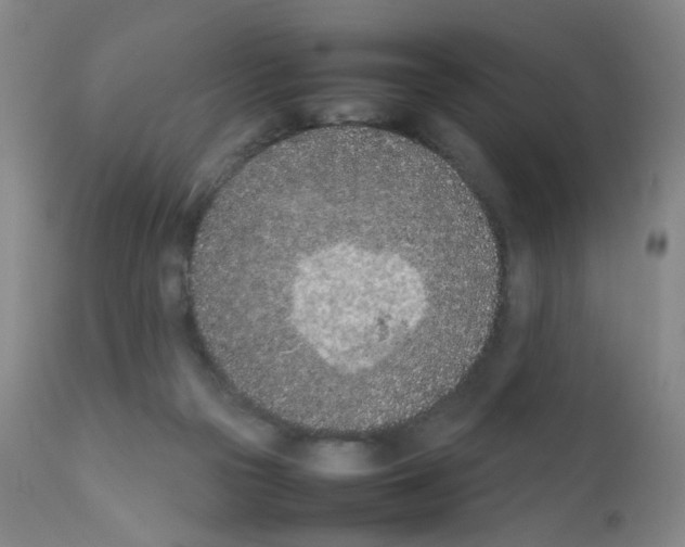 X0000111850169200909031736