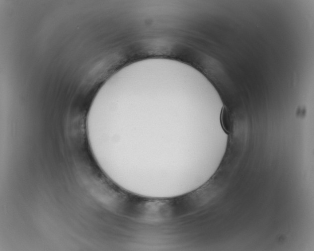 X0000111850172200909031736