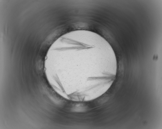 X0000111850173200909031736