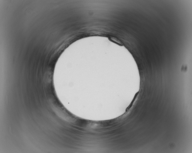 X0000111850174200909031736