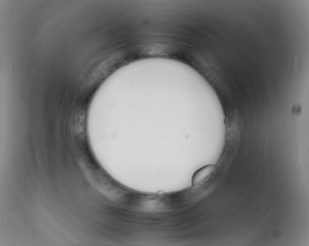 X0000111850175200909031736