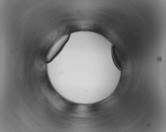 X0000111850176200909031736