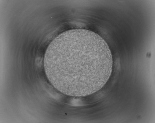 X0000111850177200909031736