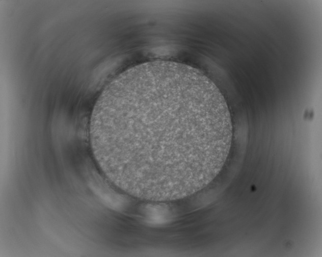 X0000111850181200909031736