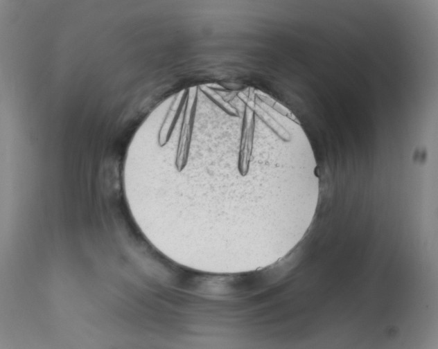 X0000111850182200909031736
