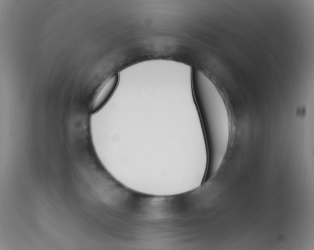 X0000111850184200909031736