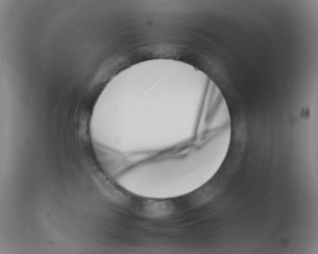 X0000111850185200909031736