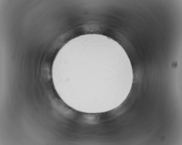 X0000111850187200909031736