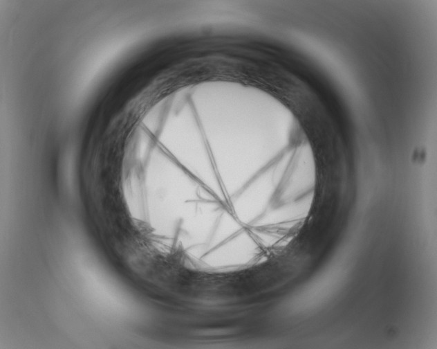 X0000111850189200909031736