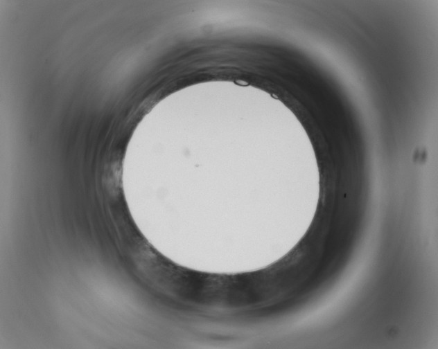 X0000111850190200909031736