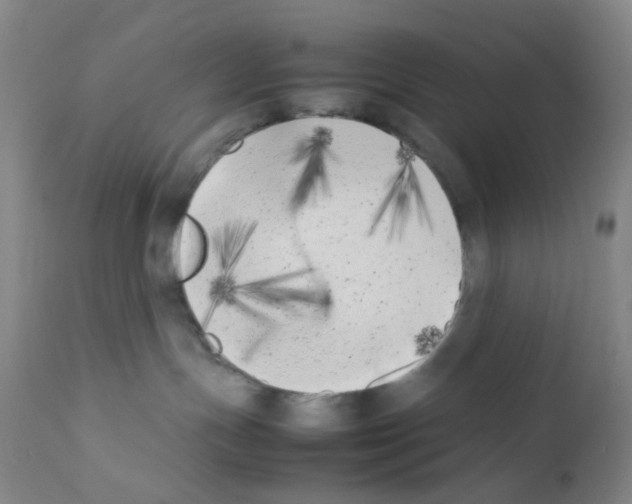 X0000111850191200909031736