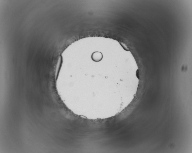 X0000111850192200909031736