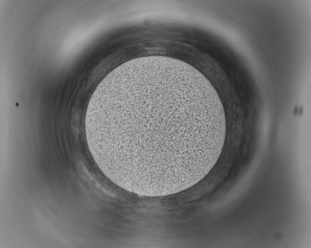 X0000111850194200909031735