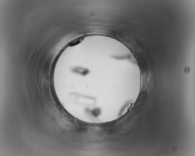 X0000111850195200909031735