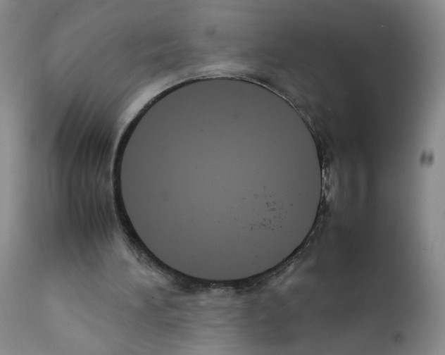 X0000111850196200909031735