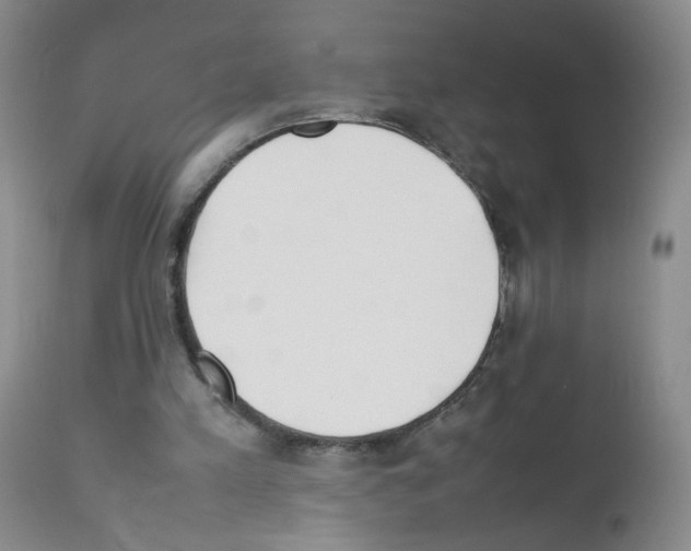 X0000111850197200909031735