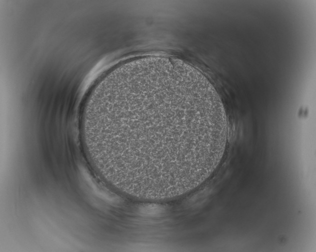 X0000111850198200909031735