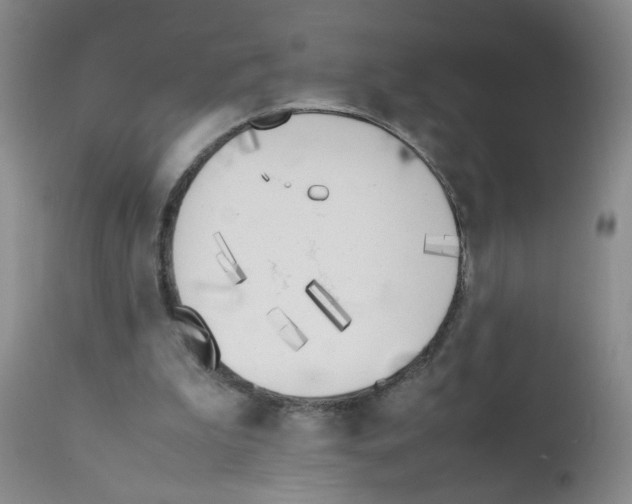 X0000111850199200909031735