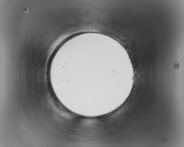 X0000111850200200909031735