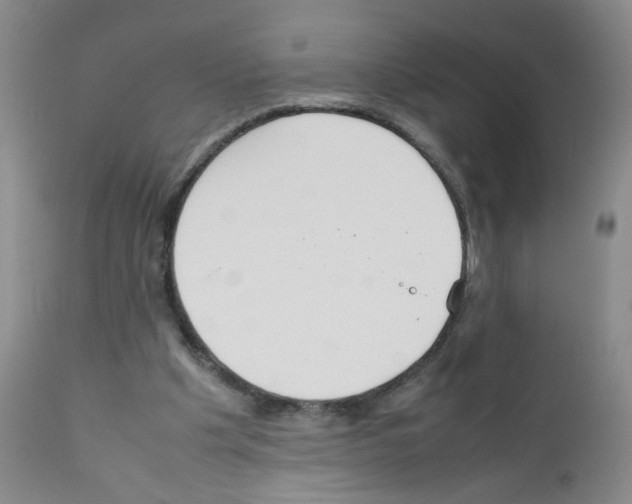X0000111850201200909031735