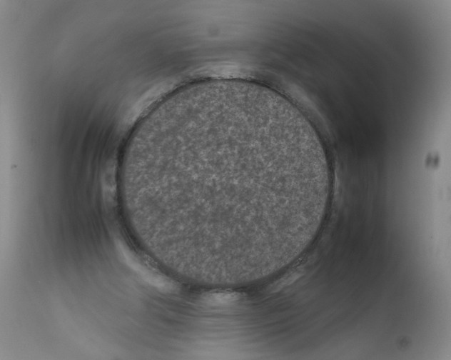 X0000111850202200909031735