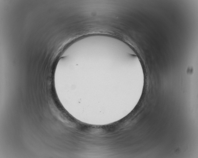 X0000111850203200909031735