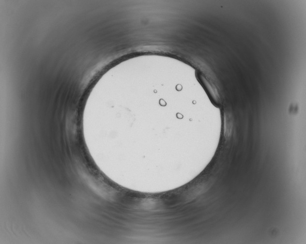 X0000111850204200909031735