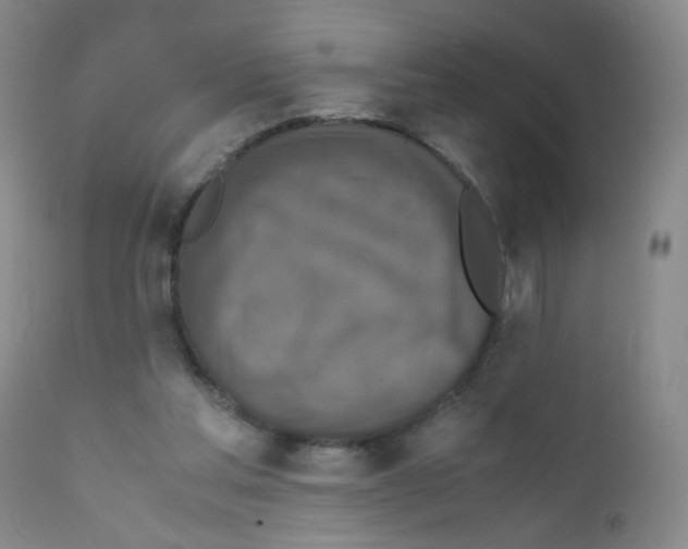 X0000111850205200909031735
