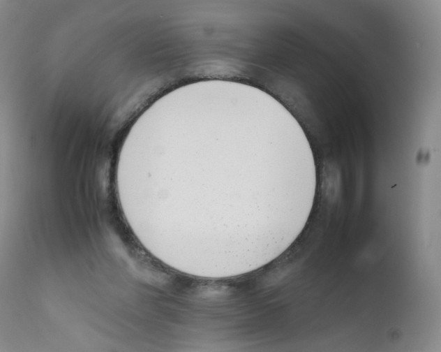 X0000111850206200909031735